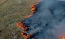Eskişehir'de otluk alanda yangın! Rüzgarın etkisiyle hızla yayılıyor