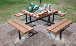 Eskişehir'in bu parkındaki görüntü tepki çekti