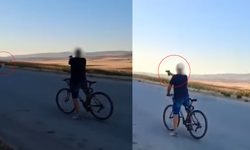 Eskişehir'de şoke eden olay: Köpeğe ateş etti!