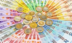 Elinde bu paralardan birisi olan köşeyi döndü: Artık milyonlarca lira ediyor