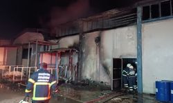 Bilecik'te gece yarısı yangın paniği