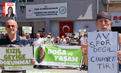 Eskişehir’de av ihalesine tepki: “Hayvanların yaşam hakkına fiyat biçiliyor”