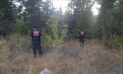 Eskişehir'de orman yangınlarına karşı denetimler devam ediyor