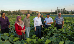 Kızılinler yeni projelerle atılım yapacak