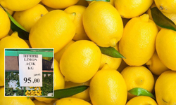 Eskişehir'de limonun kilosu 100 liranın altına düştü!