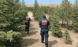 Eskişehir'de yangına karşı sıkı denetim! Drone ile izleniyor