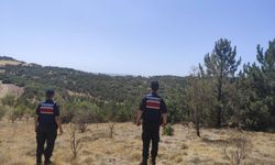 Tepebaşı’nda ormanlık alanlarda drone destekli denetim
