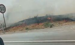 Eskişehir yolunda yangın çıktı: Çam ağaçları alev aldı
