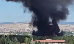 Komşuda büyük yangın! Müdahale sürüyor