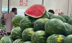 Yapay zeka devreye girdi: Karpuz savaşları başladı