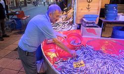 Yeni balık sezonu başladı: Eskişehir'de tezgahlar dolup taşacak