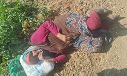 Eskişehir'de kayıplara karışmıştı: Yaşlı kadın böyle bulundu