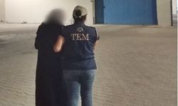 Komşuda FETÖ operasyonu: Bu haberleşme programını kullanıyormuş