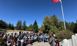 Eskişehirliler Dumlupınar'da geleneksel piknik şölenine katıldı
