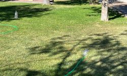 Eskişehir'deki parkta tepki çeken görüntü