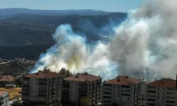 Salça ateşi yangına sebep oldu: 30 dönümlük arazi küle döndü