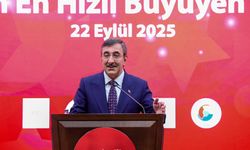 Cevdet Yılmaz'dan tek haneli enflasyon hedefi açıklaması