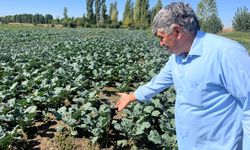 Eskişehir'de kuraklık alarmı! Kuyulardaki sular bitmek üzere