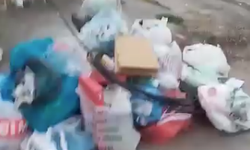 Eskişehir çöp sorunu: Vatandaşlar tepkili