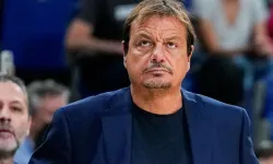 Milli Takım koçundan Türk sporuna eleştiri: "Türkiye'de futbol çılgınlığı var"