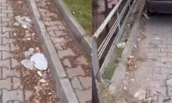 Eskişehir'de mahalle esnafı isyan etti: "Buraya uğrayan yok, sokak rezalet"