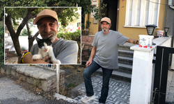 Eskişehirli esnaf yıllardır yüzlerce kediye yuva oluyor