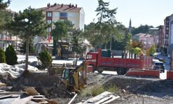 İnönü'de çevre düzenleme çalışmaları devam ediyor