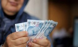 Kadınların hemen başvurması gerek! Aylık ödeme alacaklar