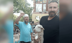Eskişehir'de kayıp kuzu 2 günlük misafirlik sonrası sahibine kavuştu