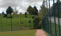 Eskişehir'deki parkta uygunsuz görüntü
