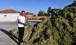 Beylikova'da paketleme sezonu başladı: Kooperatife 5 milyon TL ek gelir sağlanacak