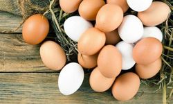 Yumurtayı sakın böyle saklamayın! Uzmanlar uyardı