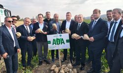 İnönü'de şeker pancarı tarla günü düzenlendi