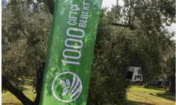 Cargill 1000 çiftçi 1000 Bereket programı yedinci yılında