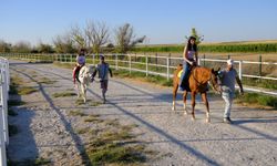 Eskişehir'deki at binme tesisi haftanın 7 günü hizmet veriyor