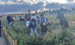 Seyitgazi'de özel gereksinimli çocuklar hasat yaptı
