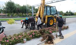 Sivrihisar'da ağaçlandırma çalışmaları devam ediyor