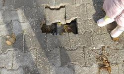 Eskişehir'de vatandaşlar sökülen parke taşlarına isyan etti