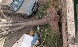 Eskişehir'de ağaç yola devrildi: Elektrikler kesildi
