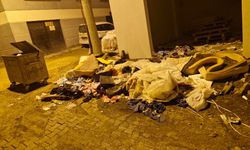 Eskişehir'de pes dedirten görüntüler: O mahalle adeta çöplüğe döndü