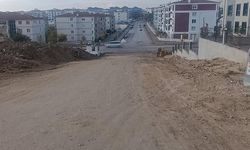 Çankaya Mahallesi'nde yol tepkisi: “50 metre asfalt yapılmadı”