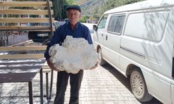 Tam 19 kilogram ağırlığında! Önce taş zannetti, yaklaştığında şaşkına döndü