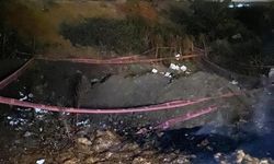 Bilecik'te orman yangını: Ekipler kısa sürede müdahale etti