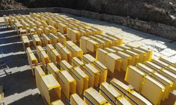 Tescilli tarhanada sezon sona eriyor, son üretimler yapılıyor