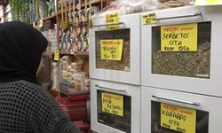 Kışın favorisi: Zencefil, propolisli macun, kara mürver ve karadut pekmezleri