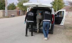 Eskişehir'de zehir tacirlerine büyük darbe: Silahlar, uyuşturucu maddeler ve haplar ele geçirildi