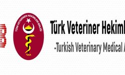 Türk Veteriner Hekimleri Birliği: "Mesleğin sürdürülebilirliğini ciddi şekilde tehdit etmektedir"