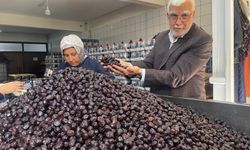 Katırlı Dağları'ndan İsviçre sofralarına gidiyor: Lezzeti dünyanın dilinde