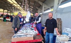 Hamsi ve sardalya bolluğu: Fiyatlar 150 TL’ye düştü