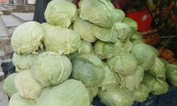 Satışına yoğun ilgi var: Tezgahlarda yerini aldı